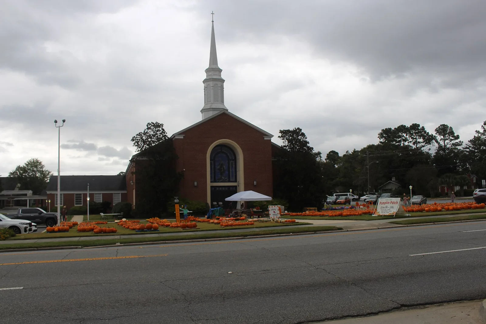Rows of pumpkins on a church lawn pumpkin patch in Valdosta, Georgia.