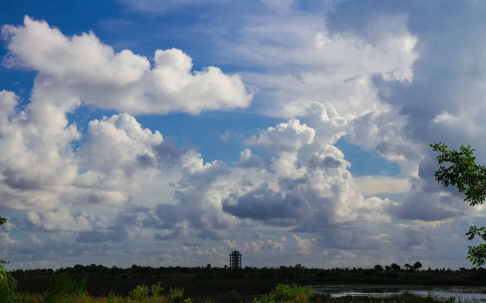 Summer clouds build over the Wellington Environmental Preserve, with its observation tower on the horizon.