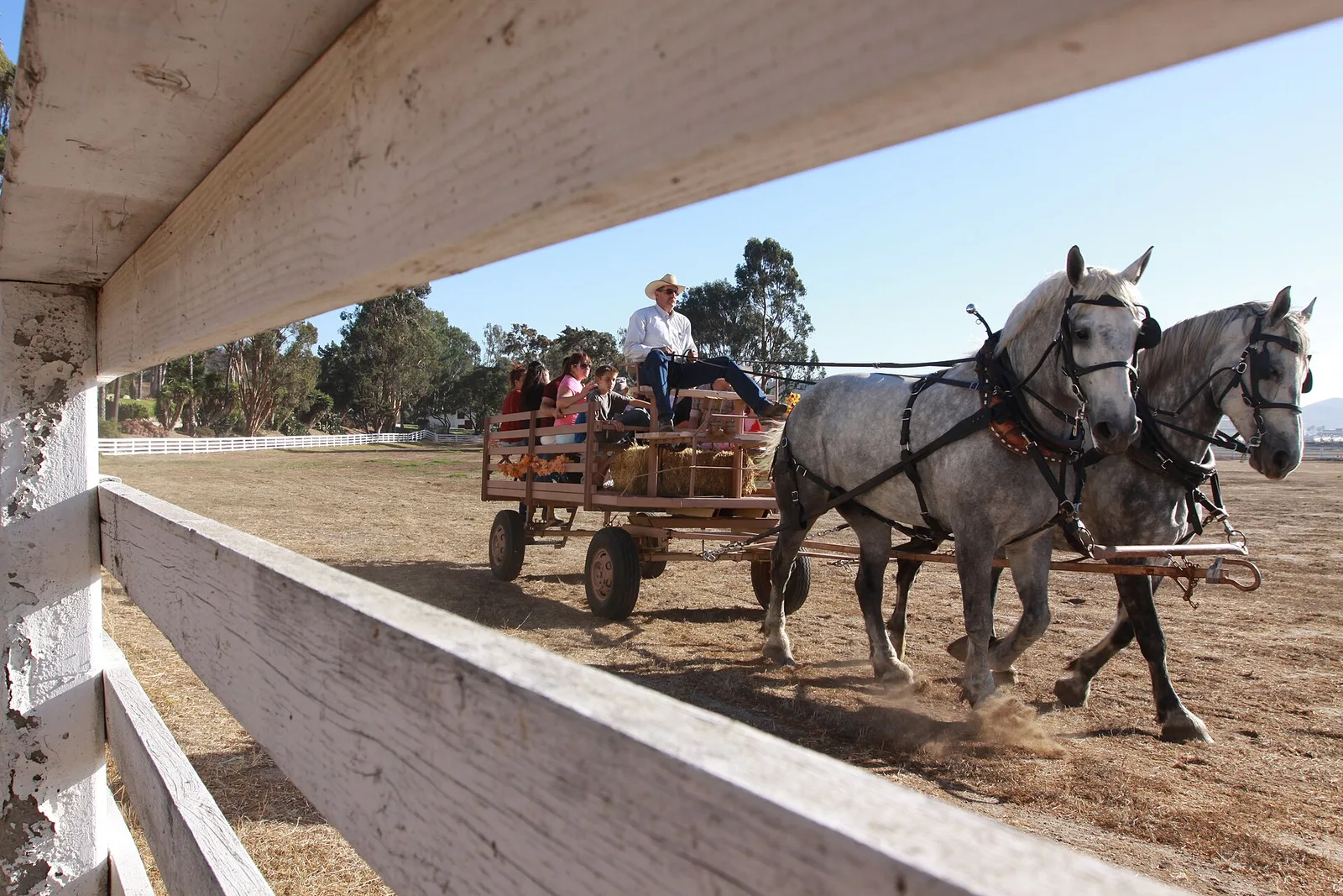 Families ride a horse-drawn hay wagon at a fall festival at Camp Pendleton, Calif.